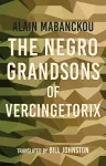 The Negro Grandsons of Vercingetorix cover