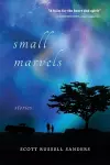 Small Marvels cover