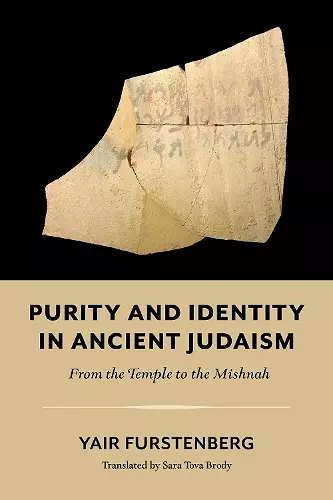 Purity and Identity in Ancient Judaism cover