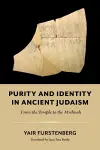 Purity and Identity in Ancient Judaism cover