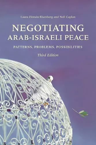 Negotiating Arab-Israeli Peace cover