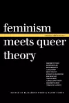 Feminism Meets Queer Theory cover