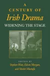 A Century of Irish Drama cover