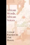 African Words, African Voices cover