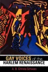 Gay Voices of the Harlem Renaissance cover