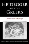 Heidegger and the Greeks cover
