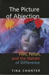 The Picture of Abjection cover