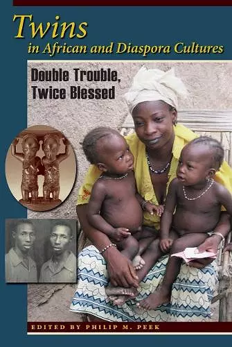 Twins in African and Diaspora Cultures cover