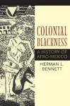 Colonial Blackness cover