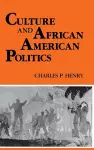 Culture and African American Politics cover