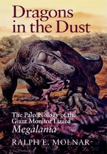 Dragons in the Dust cover