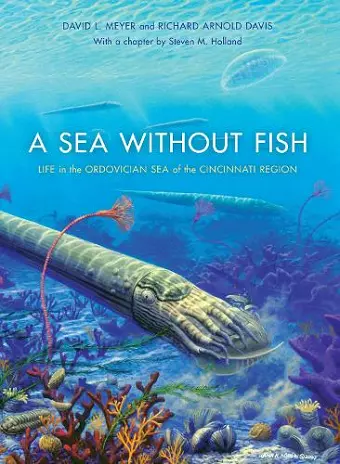 A Sea without Fish cover