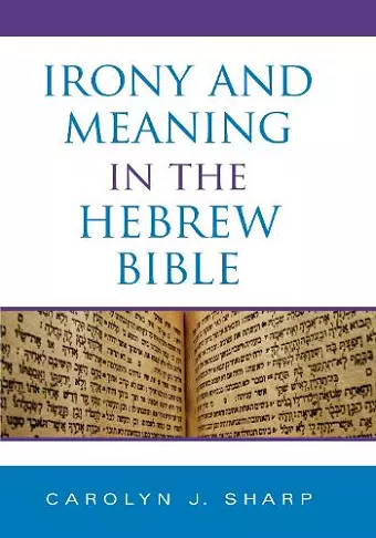 Irony and Meaning in the Hebrew Bible cover