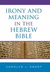 Irony and Meaning in the Hebrew Bible cover