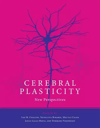 Cerebral Plasticity cover