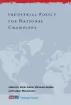 Industrial Policy for National Champions cover