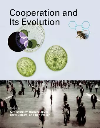 Cooperation and Its Evolution cover