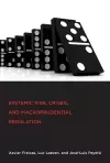 Systemic Risk, Crises, and Macroprudential Regulation cover