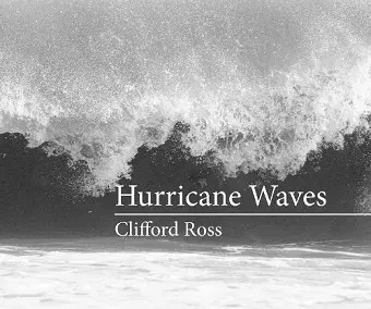 Hurricane Waves cover