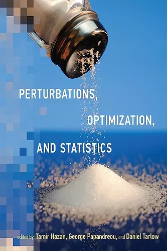 Perturbations, Optimization, and Statistics cover