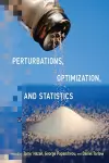 Perturbations, Optimization, and Statistics cover