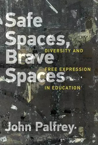 Safe Spaces, Brave Spaces cover