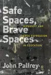 Safe Spaces, Brave Spaces cover