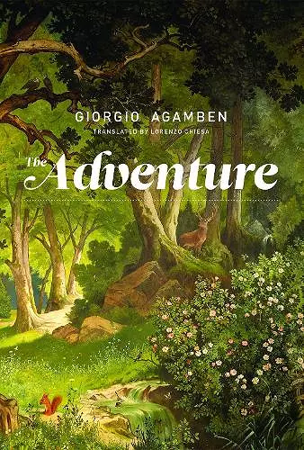 The Adventure cover