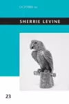 Sherrie Levine cover