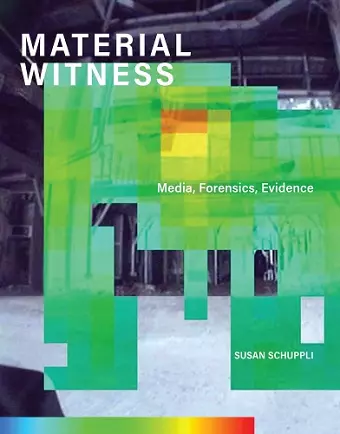 MATERIAL WITNESS cover