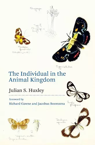 The Individual in the Animal Kingdom cover