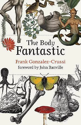 The Body Fantastic cover