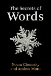 The Secrets of Words cover
