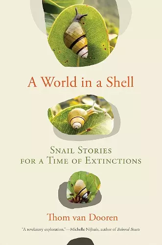 A World in a Shell cover