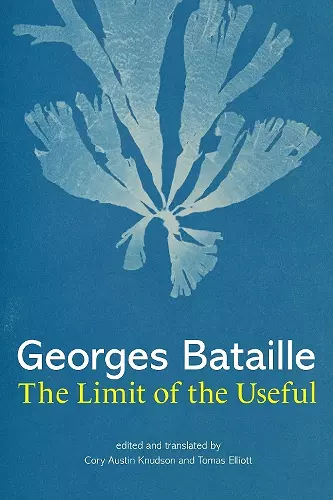 The Limit of the Useful cover