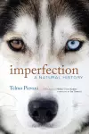 Imperfection cover