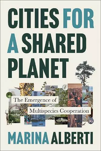 Cities for a Shared Planet cover