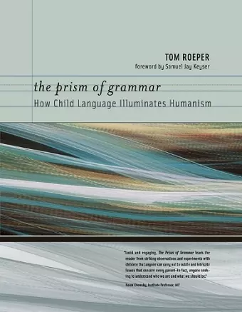 The Prism of Grammar cover