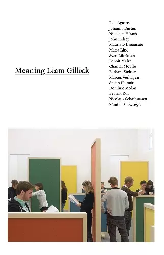 Meaning Liam Gillick cover