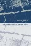 Psychiatry in the Scientific Image cover