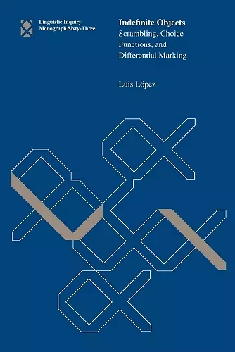 Indefinite Objects cover