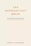 The Bodhisattva's Brain cover