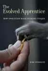 The Evolved Apprentice cover