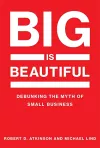 Big Is Beautiful cover
