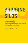 Bridging Silos cover