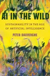 AI in the Wild cover