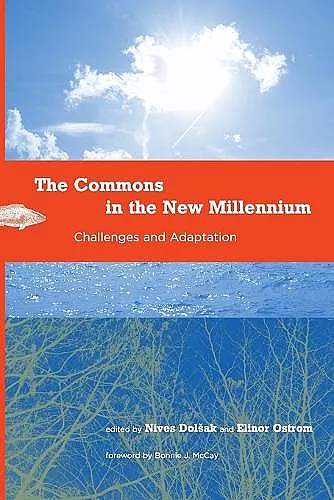 The Commons in the New Millennium cover