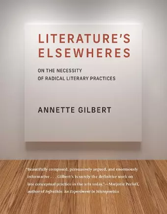 Literature’s Elsewheres cover