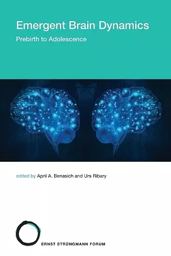 Emergent Brain Dynamics cover