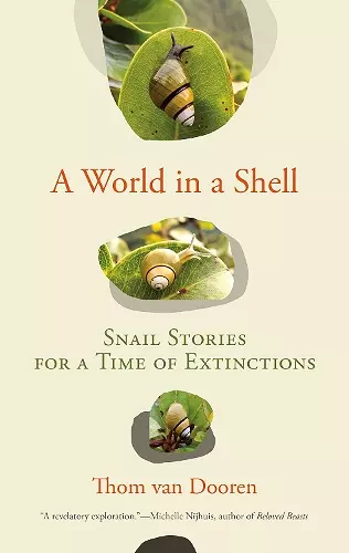 A World in a Shell cover